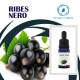 ENJOYSVAPO Ribes Nero Aroma Concentrato 10ml
