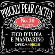 Dreamods Aroma Prickly Pear Cactus 10ml