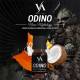 Odino Aroma Sigaro cubano e Cocco Valkiria 10ml